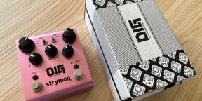 Strymon DIG