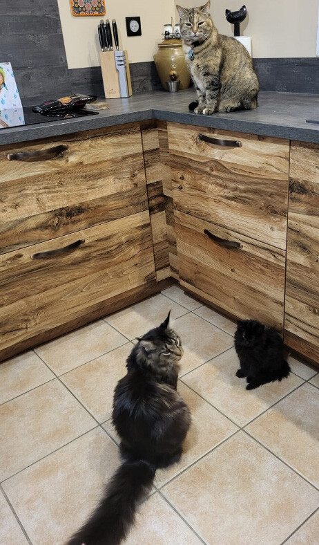 6652052.jpg 6652052.jpg