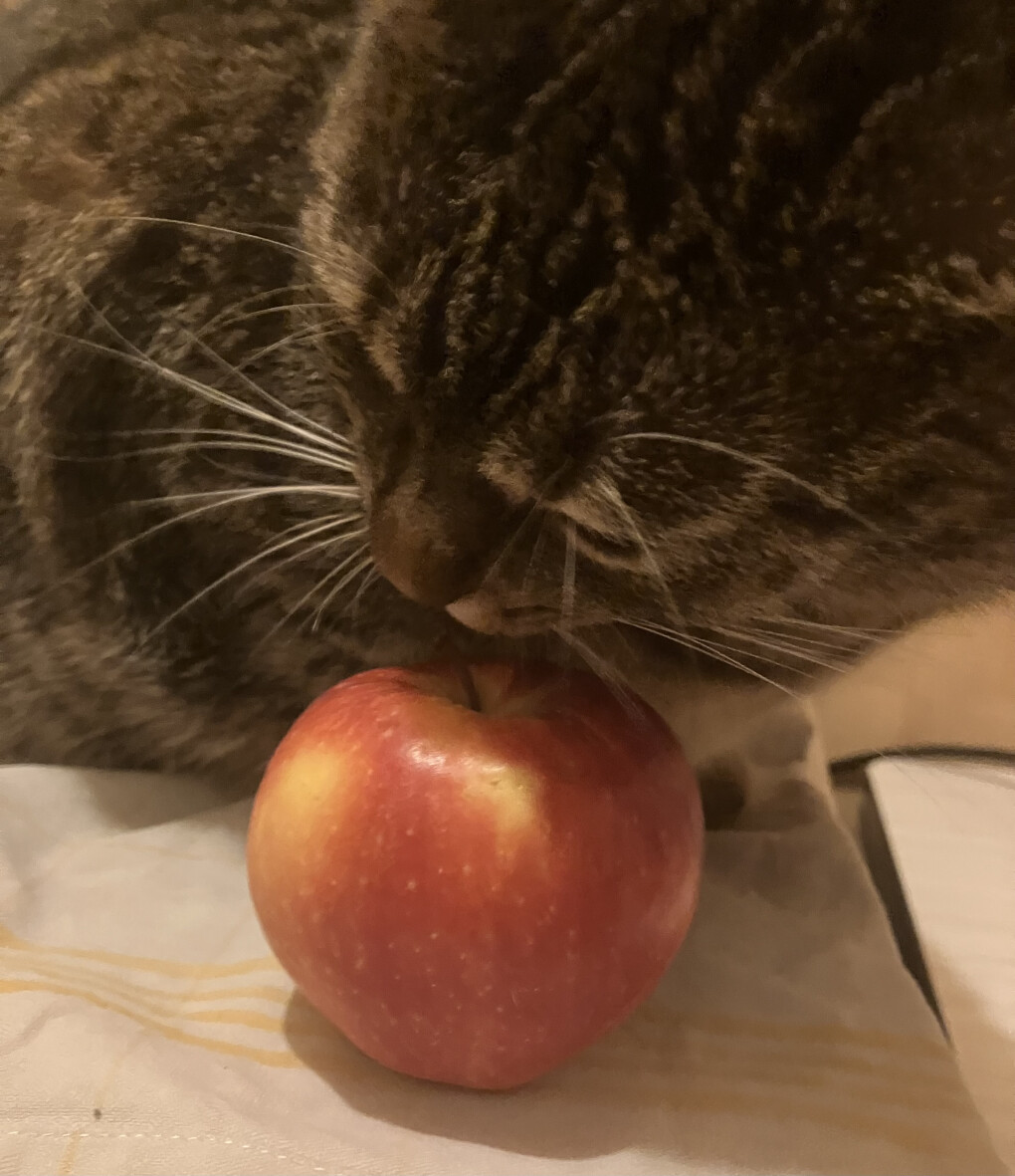 6652228.jpeg 6652228.jpeg