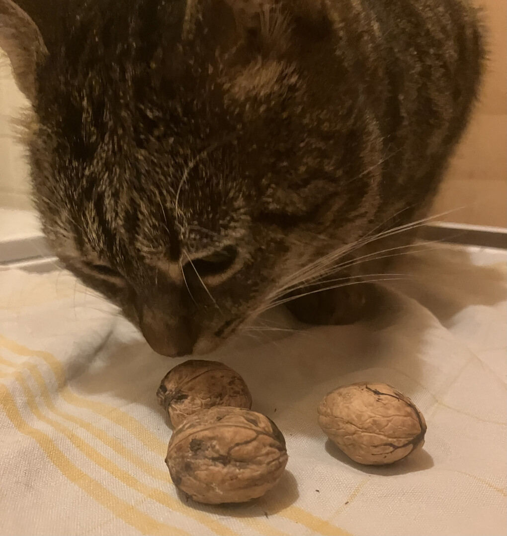 6652229.jpeg 6652229.jpeg