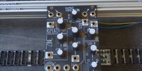 Module de delay mimeophon make noise