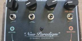 AMI effects New Paradigm