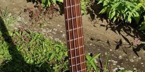 Basse électroacoustique LAG