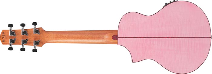 Ibanez EWP17M2E : EWP17M2EBACK