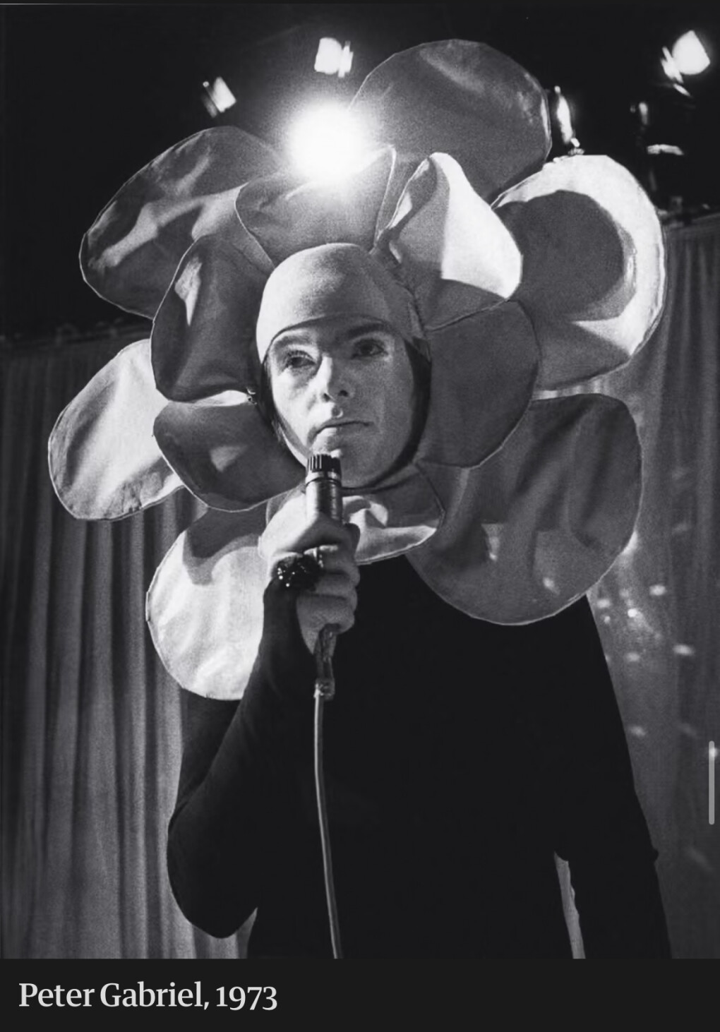 6657033.jpeg 6657033.jpeg