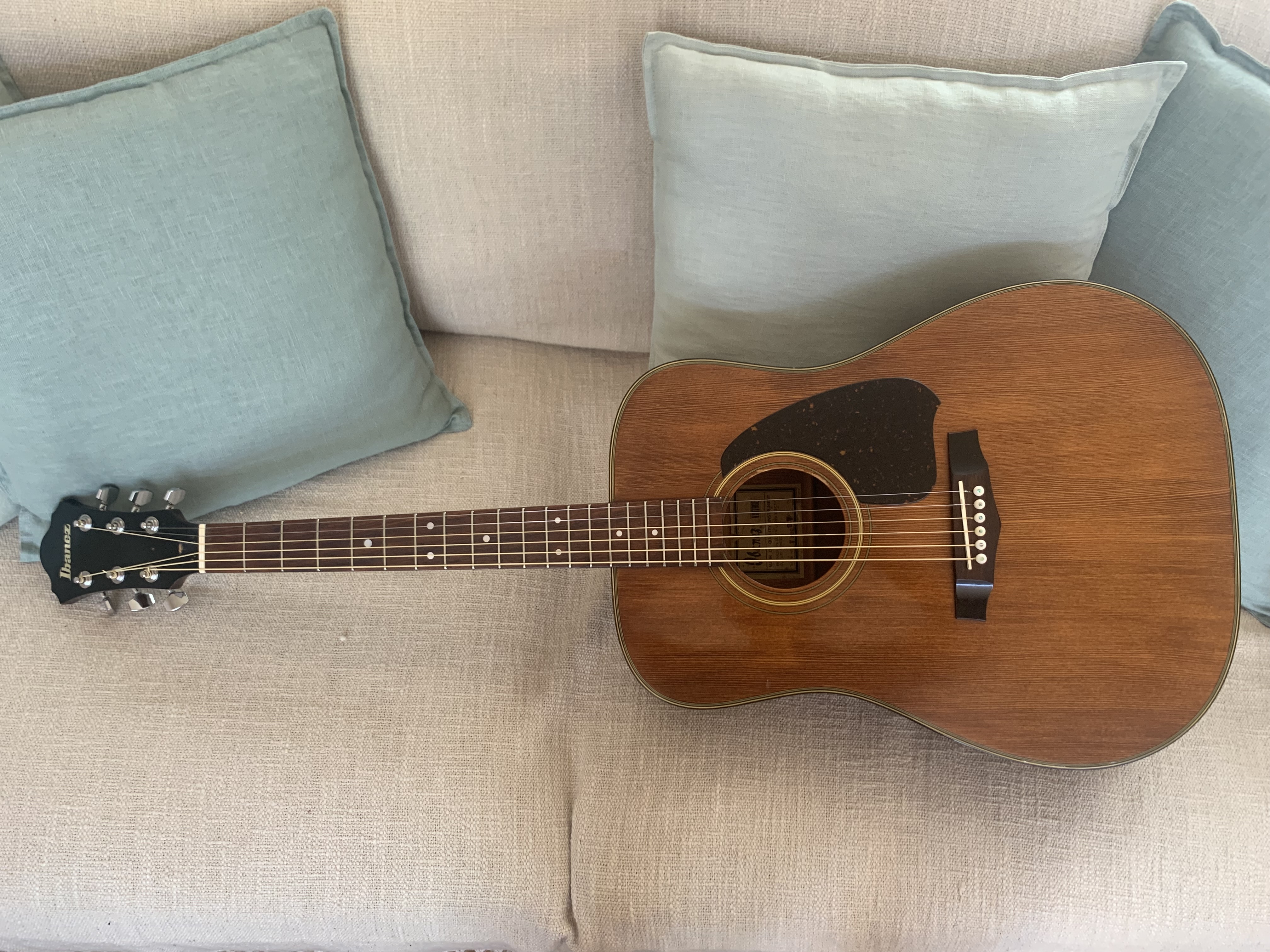 Guitare Acoustique Ibanez V300S