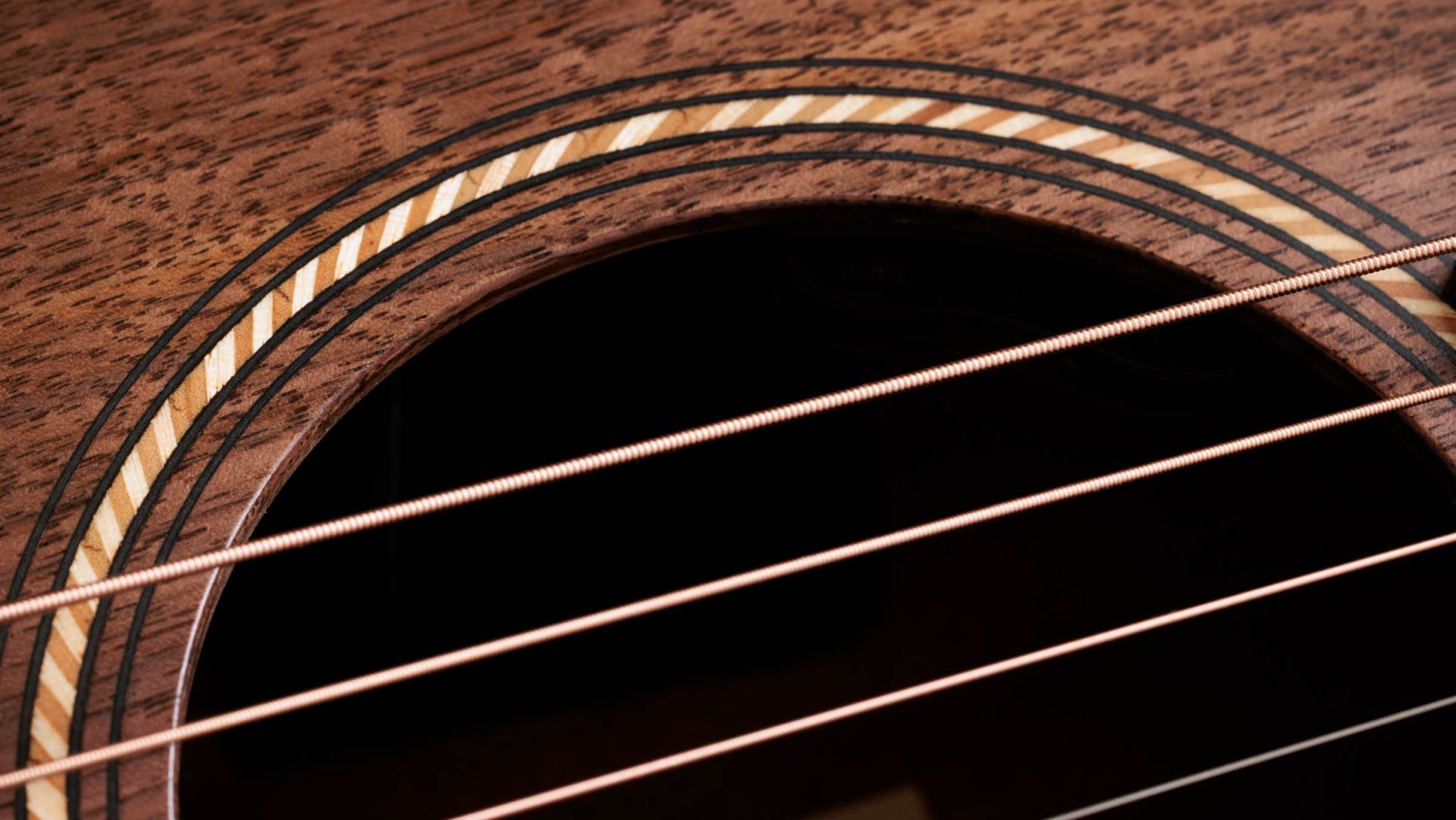 Taylor Jacob Collier Academy 22e 5-String : Jacob Collier Academy 22e 5-StringDetails