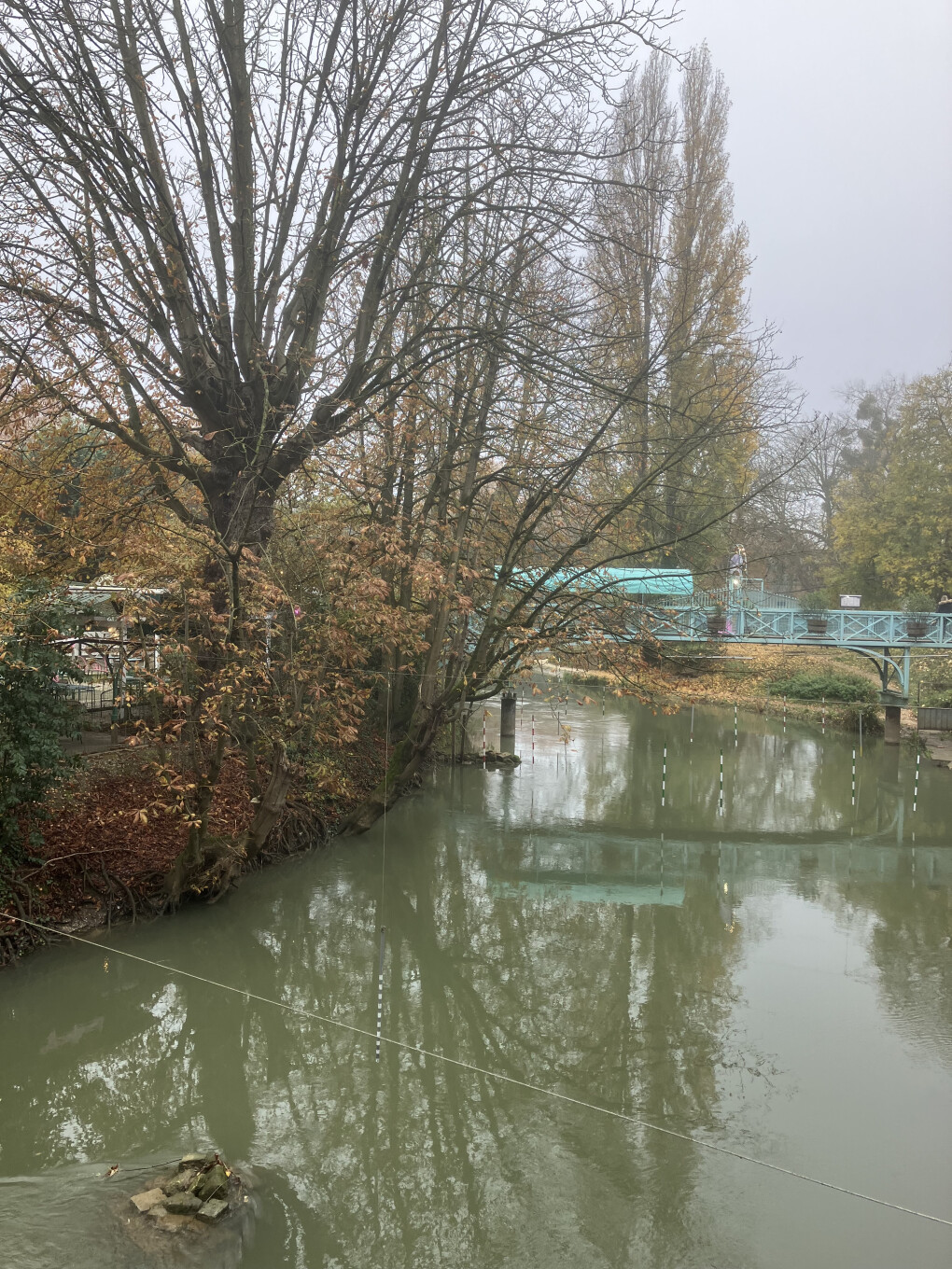 6658087.jpeg 6658087.jpeg