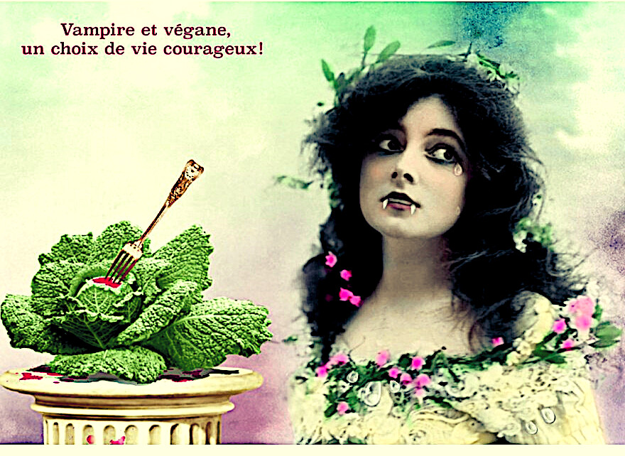 6658089.png 6658089.png