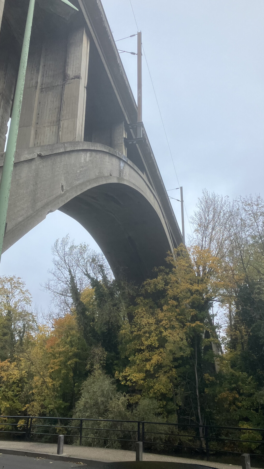 6658091.jpeg 6658091.jpeg