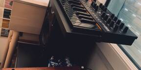 Vends Minifreak Stellar