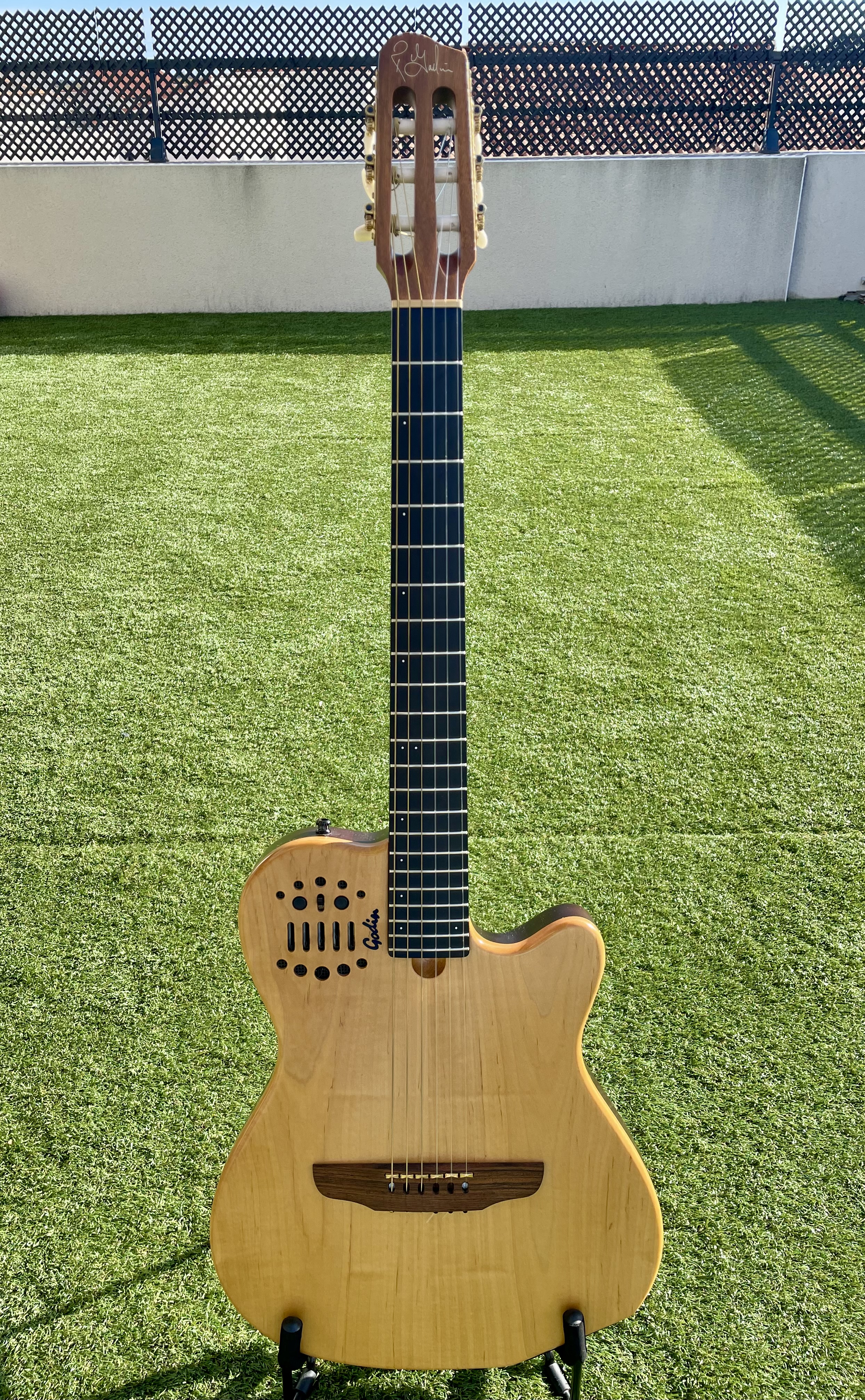 Godin ACS-SA Nylon