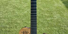 Godin ACS-SA Nylon