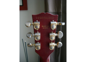 Gibson sg faded