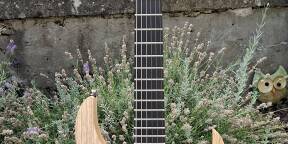 Ibanez Iron Label RGIT20FE-NT EMG 81 60