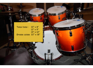 Pearl Reference Fusion 22" - Rootbeer Fade (66220)