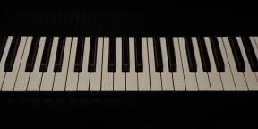 Vends Osmose très bon état + sac de transport Expressive E