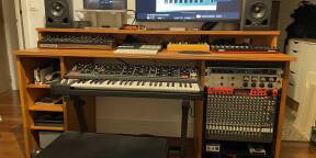 Vends paire de Adam A5X