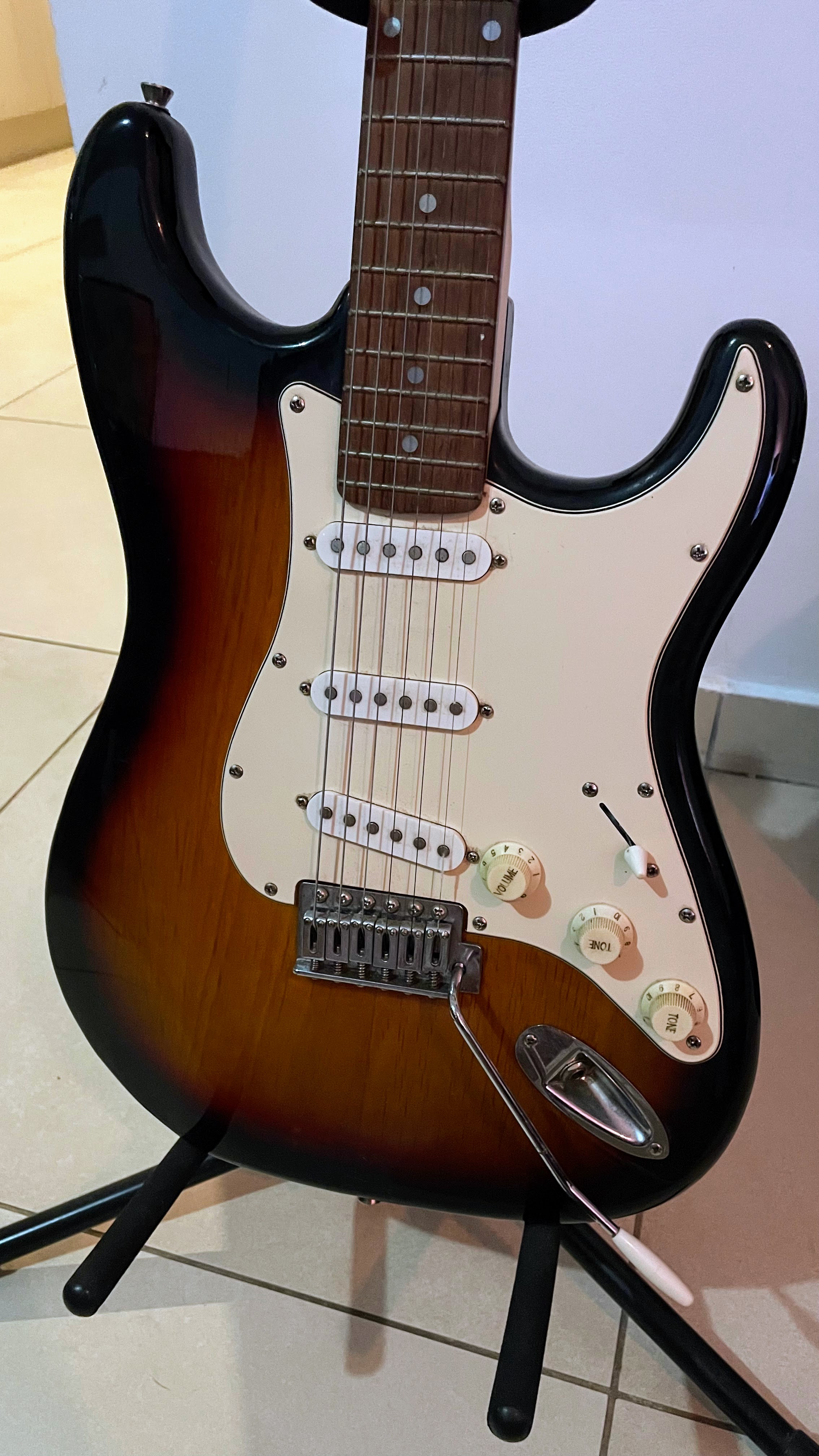 IMG 9956
