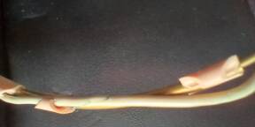 Vends 4066 Core Omnidirectionnel Headset