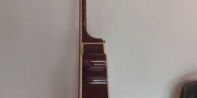 Guitare électronique acoustique 12 cordes