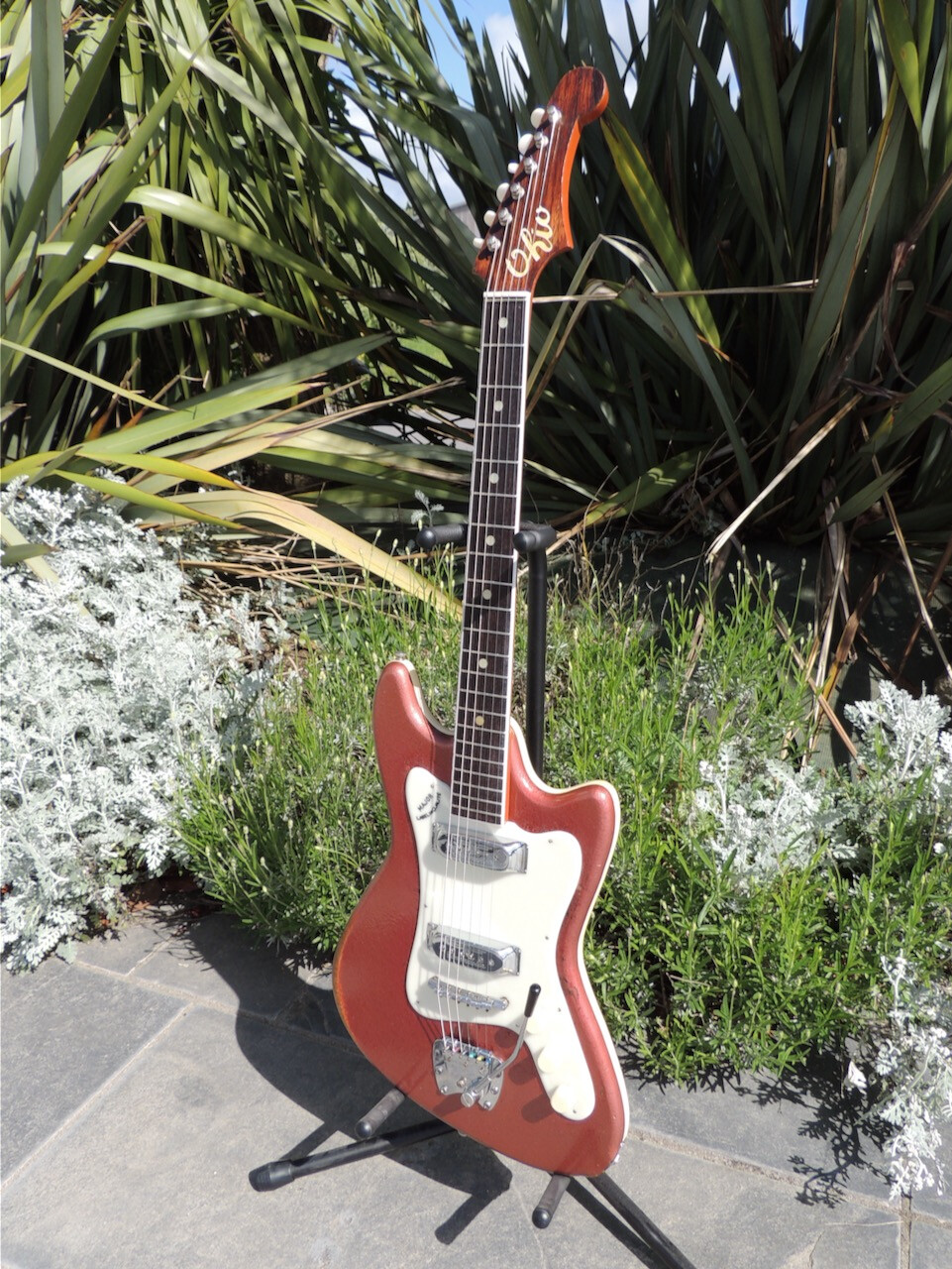 6663337.png 6663337.png