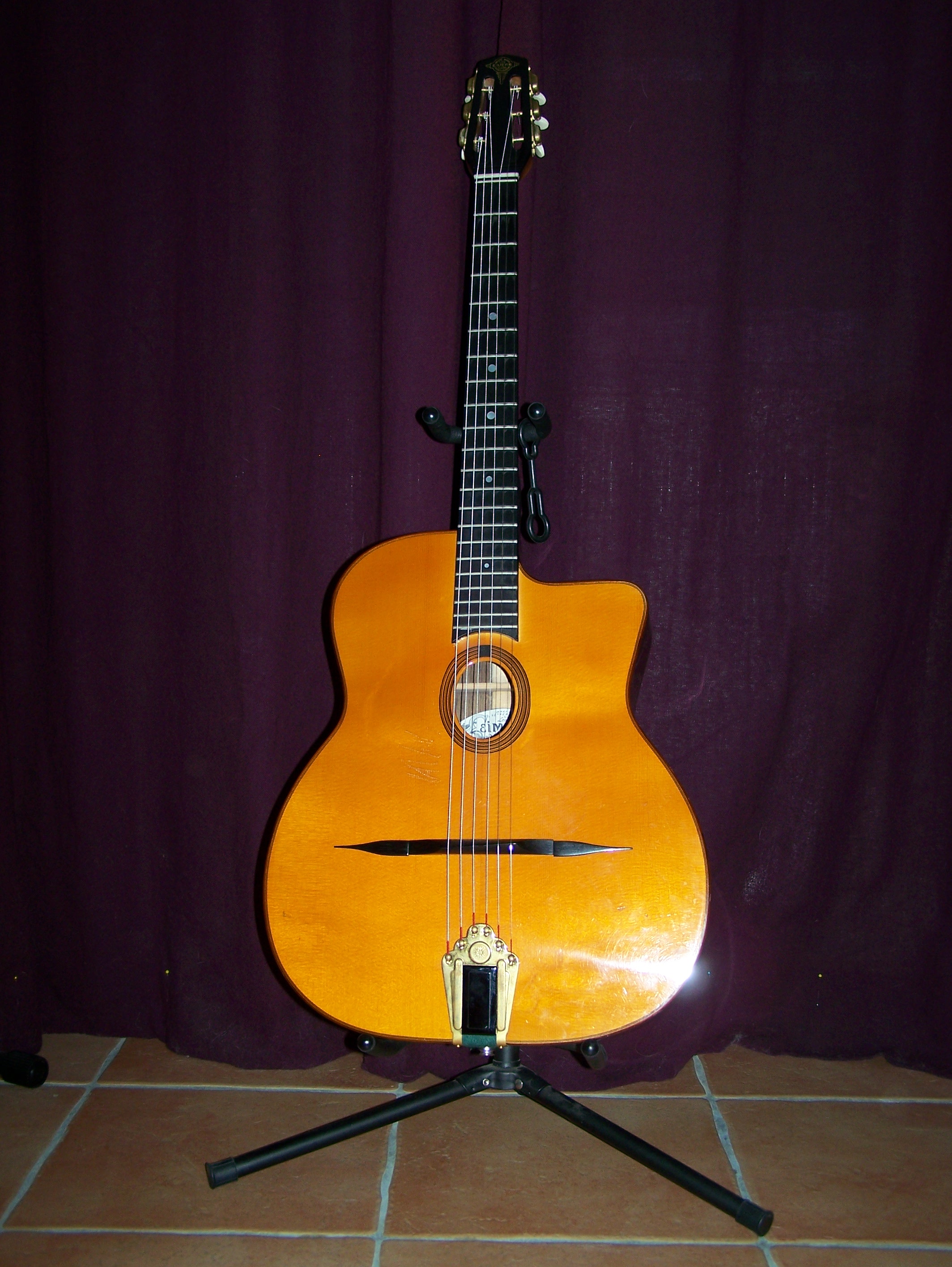 Vends Guitare Léo Eimers Nymphéas de 2005