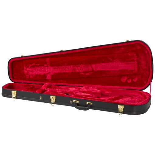 CASE CASE