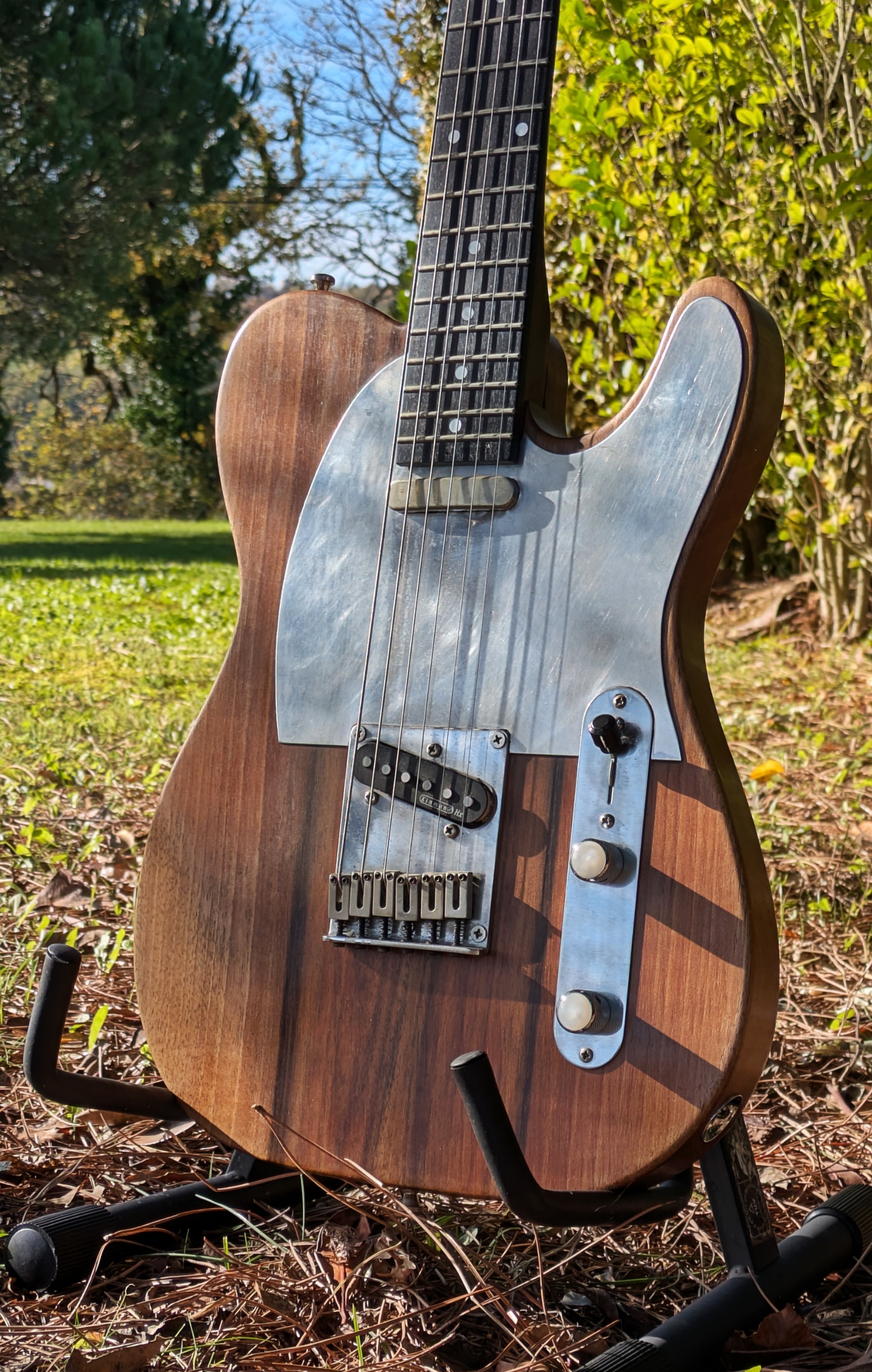 JRGUILLAUMIE TELECASTER WALNUT 2015
