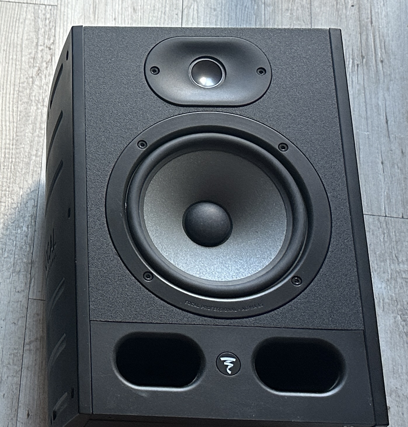 Paire de Monitorings Focal Alpha 65