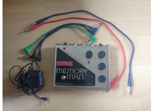 Electro-Harmonix Deluxe Memory Man