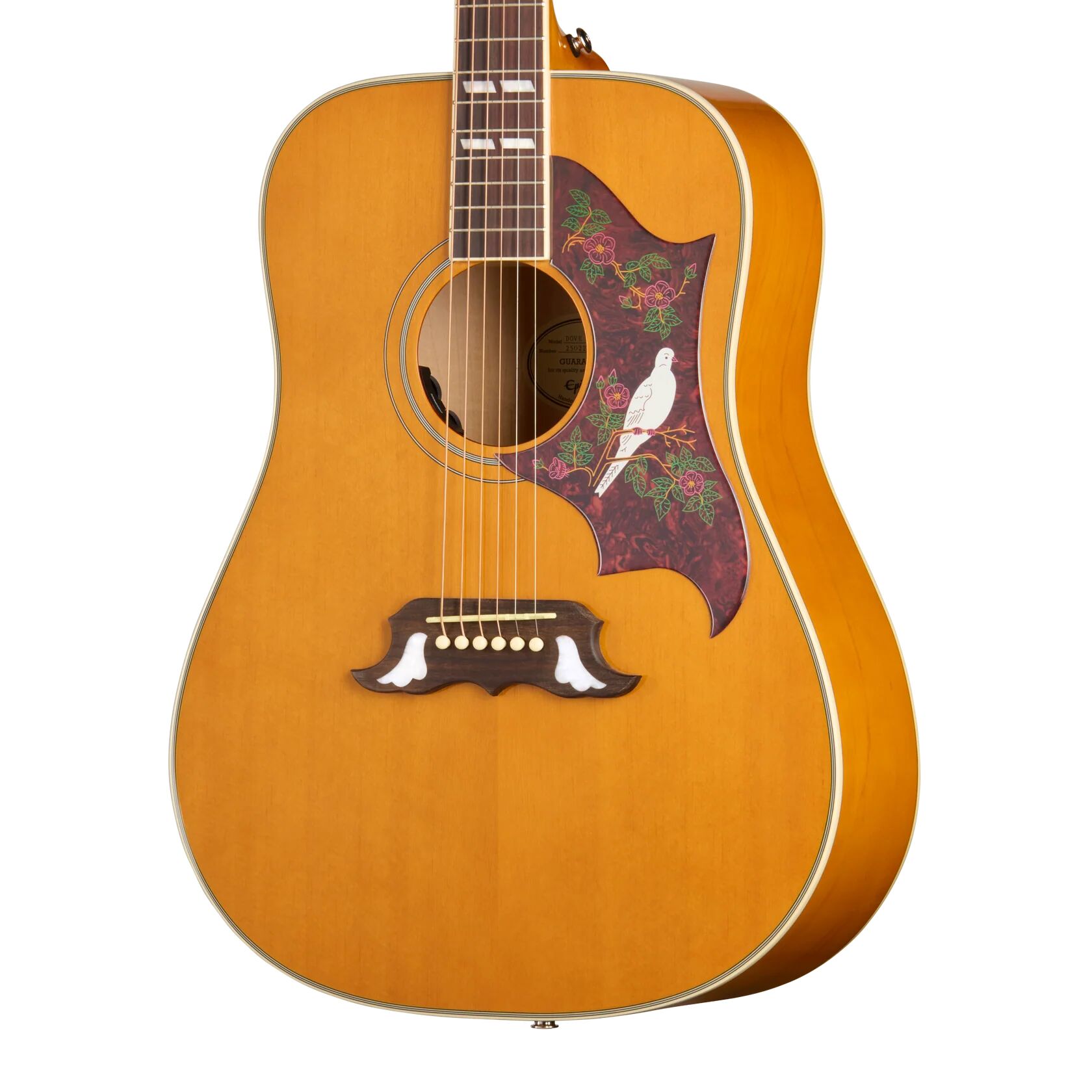 Epiphone Inspired by Gibson Dove Studio : Dove StudioBody