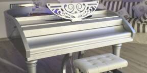 Grand Piano à queue Pearl River BUTTERFLY LIMITED EDITION avec Plexiglas Couvercle en forme de Papillon