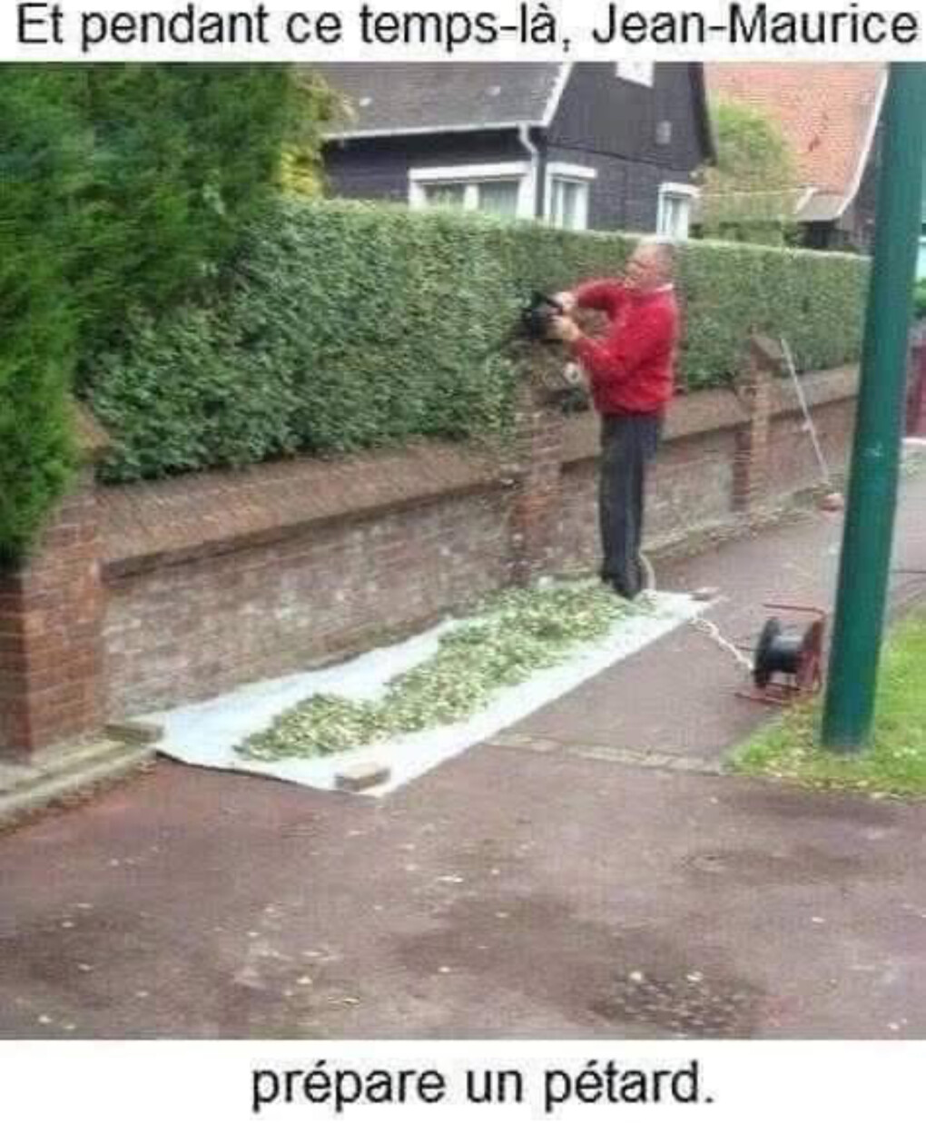 6667559.jpeg 6667559.jpeg