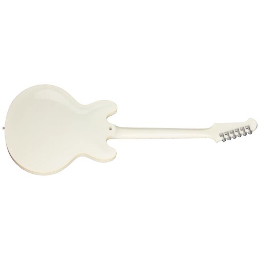 Dave Grohl DG-335 Limited EditionBACK Dave Grohl DG-335 Limited EditionBACK