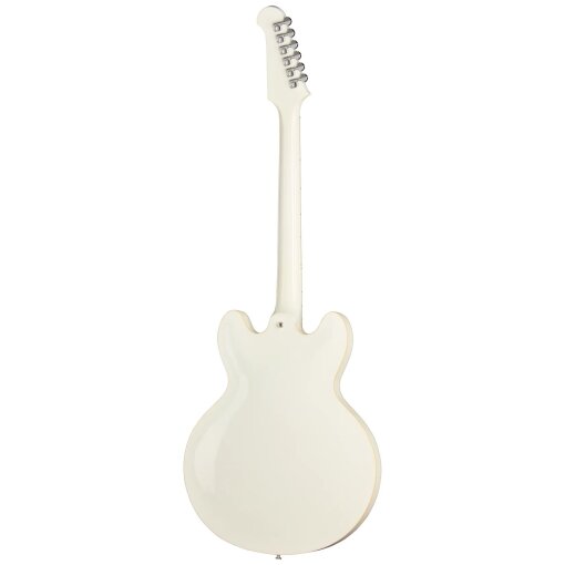 Dave Grohl DG-335 Limited EditionBACK Dave Grohl DG-335 Limited EditionBACK