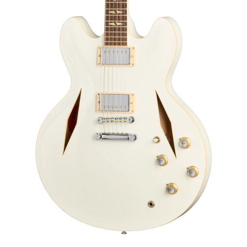 Dave Grohl DG-335 Limited EditionBODY Dave Grohl DG-335 Limited EditionBODY