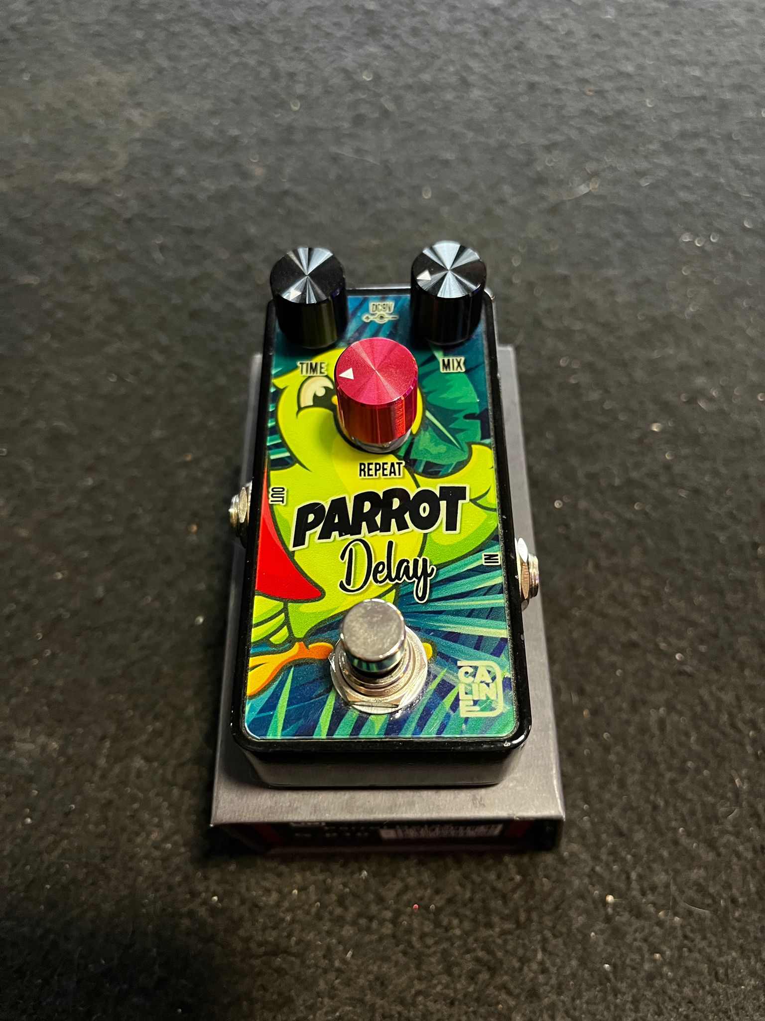 Caline Parrot Delay