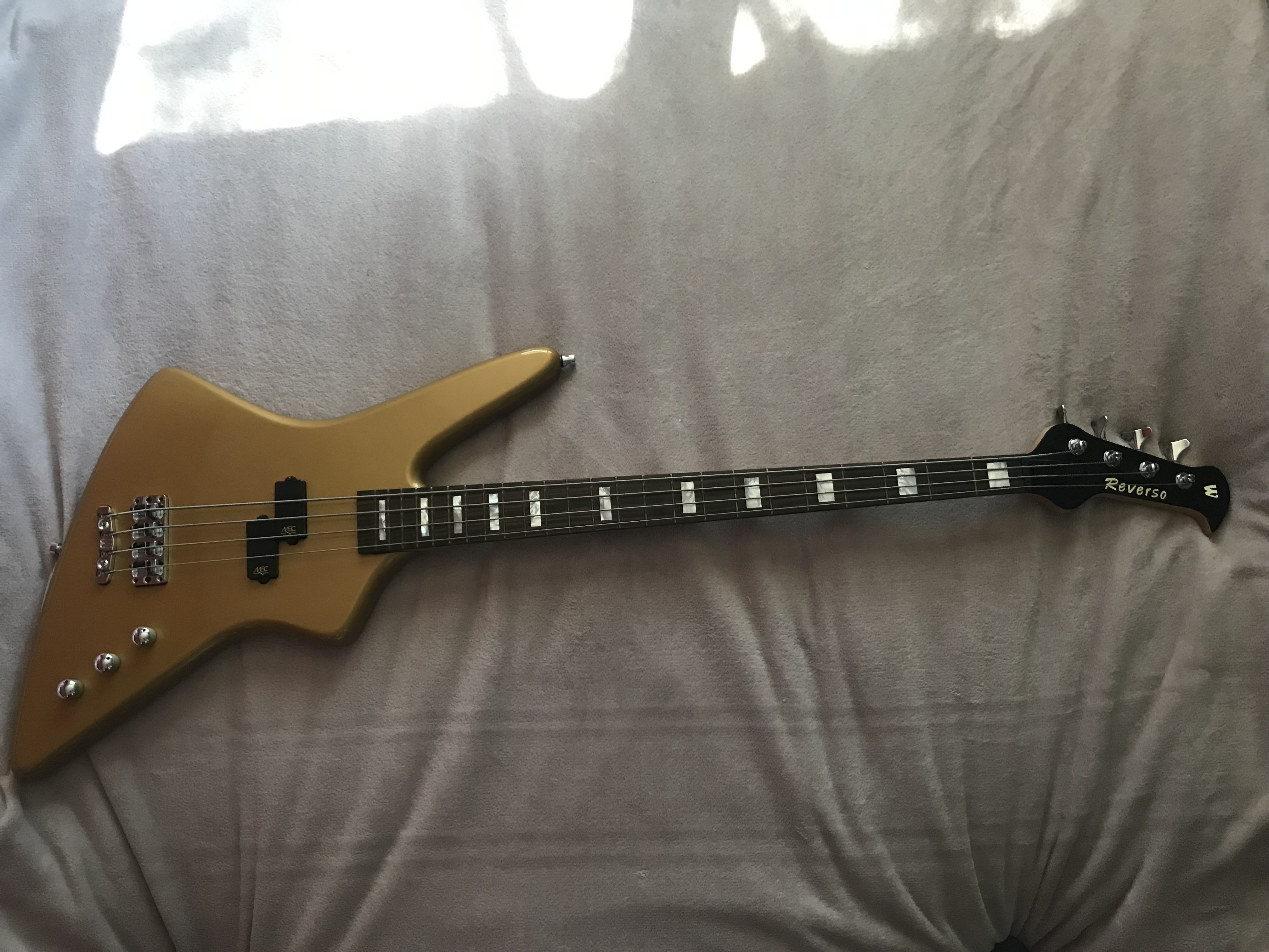 Warwick Reverso Artist Series Adam Clayton Signature