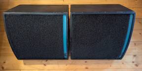 2 enceintes APG DS12S + Processeur LPDS12S + Flight case