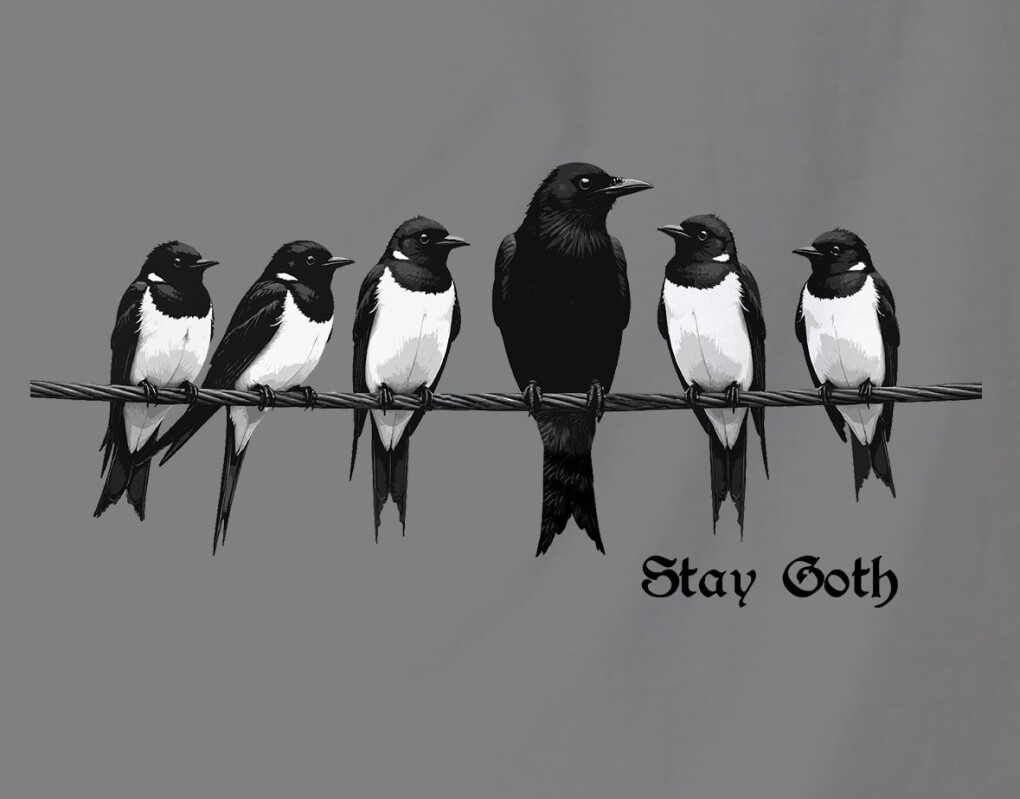 6672479.jpg 6672479.jpg