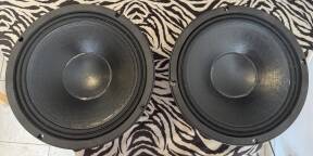 haut-parleur 25 Cm B&C Speakers état neuf