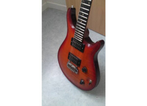 Patrick Eggle Guitars berlin pro 1992 (14000)