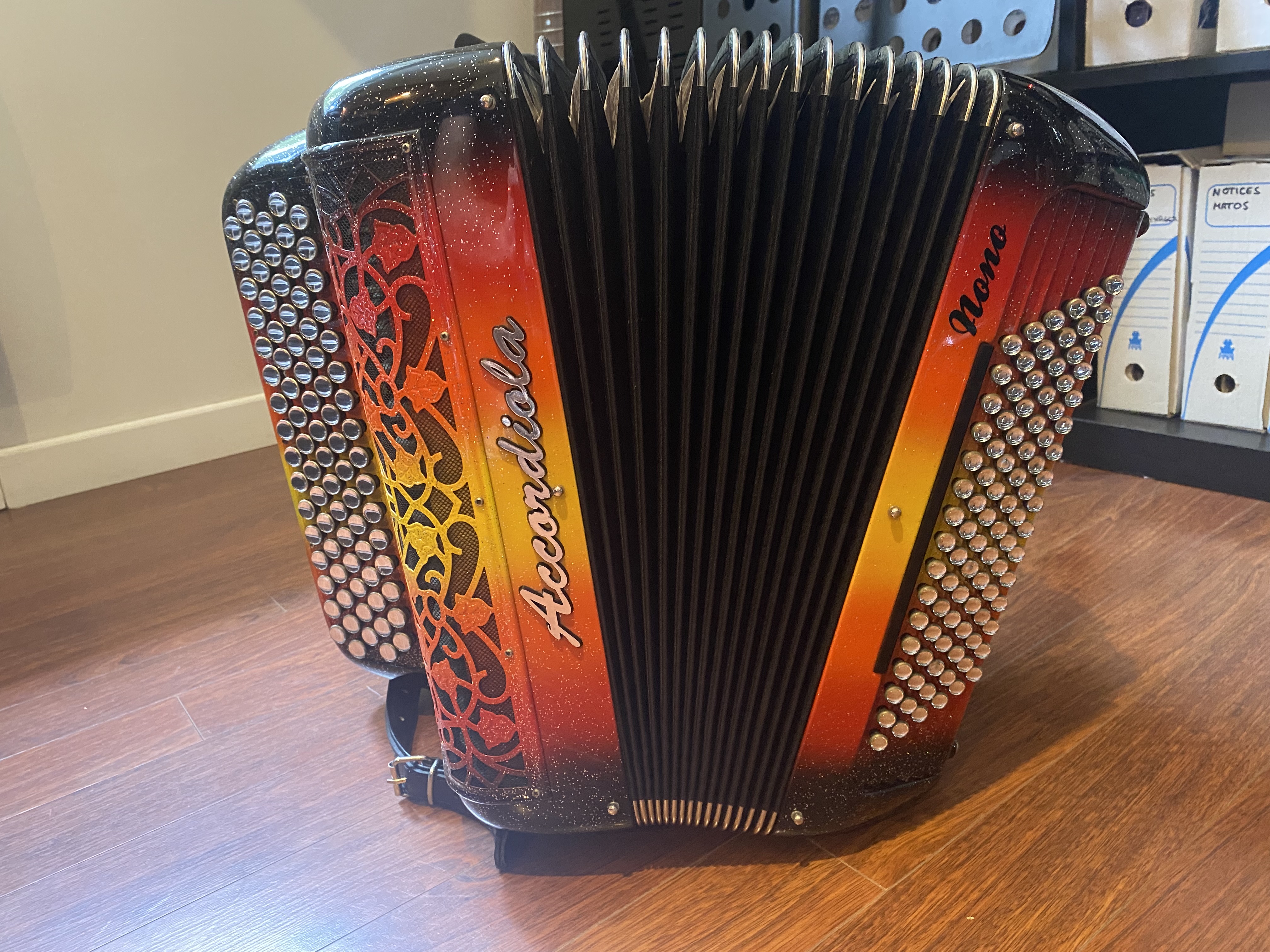 Vends Accordiola 09 carbone avec micros HF intégré MD