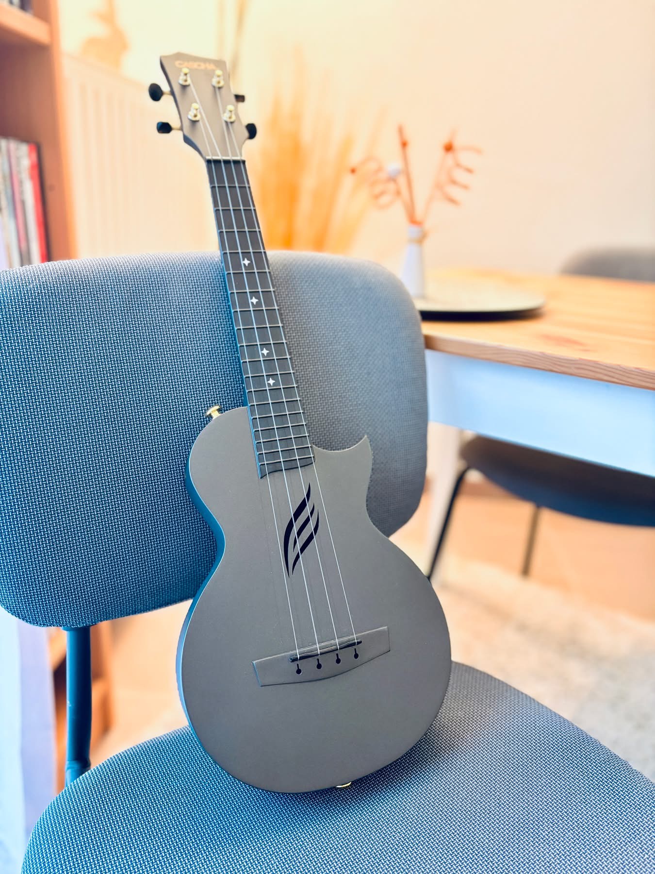 Ukulélé Carbone Cascha 