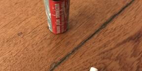 Bouchons d’oreilles Earcare