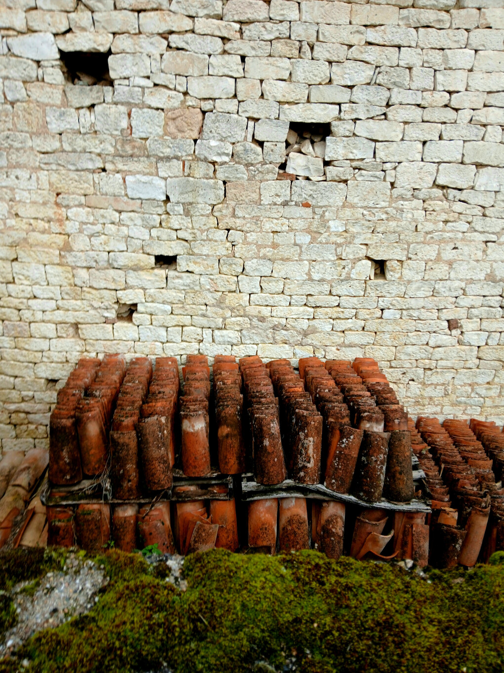 6674792.jpg 6674792.jpg