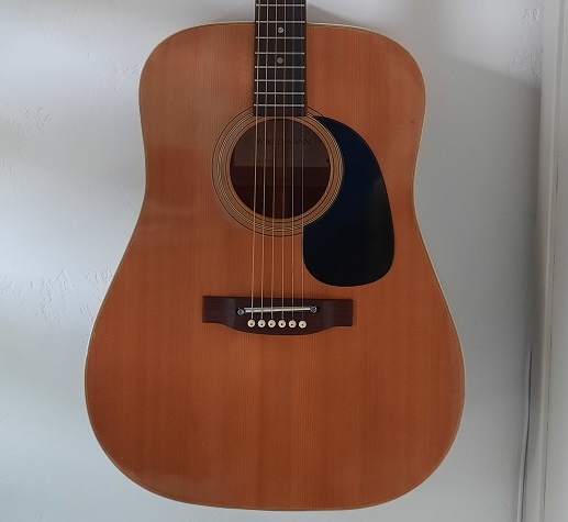 Guitare acoustique Rokkomann F340