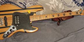 Basse Japonaise CIMAR