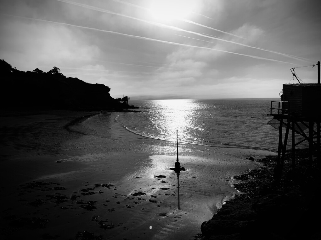 6675725.jpg 6675725.jpg